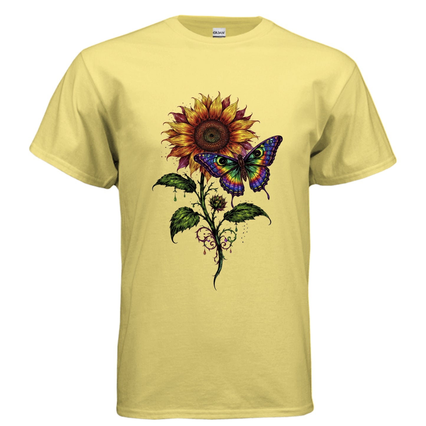 DAISY - FRONT
